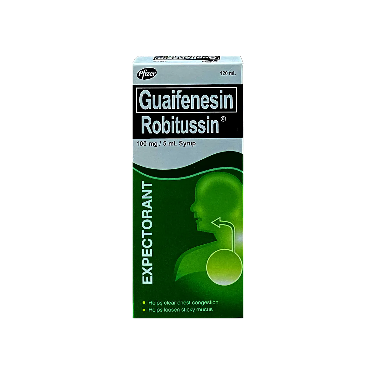 Robitussin Regular Syrup 120mL